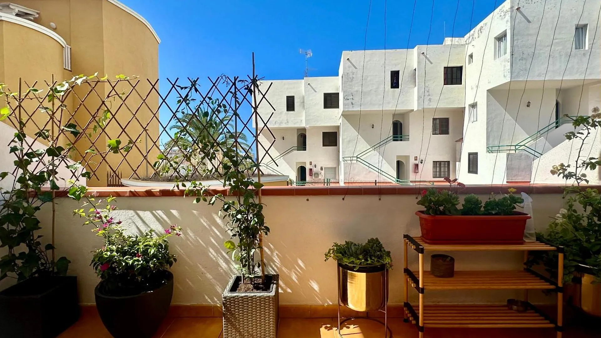 Apartment In Ocean Park Ii, Costa Adeje, Tenerife